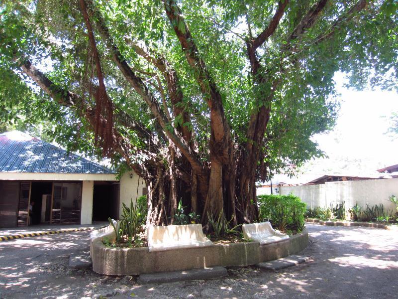 Park Hill Hotel Lapu-Lapu City Bagian luar foto